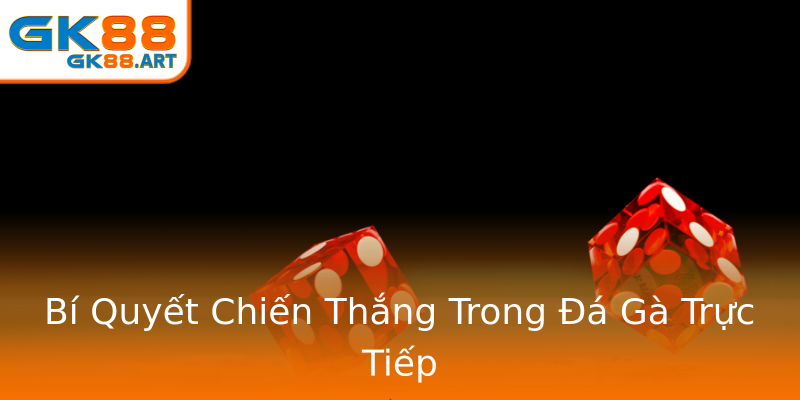 Bí Quyết Chiến Thắng Trong Đá Gà Trực Tiếp Bí Quyết Chiến Thắng Trong Đá Gà Trực Tiếp