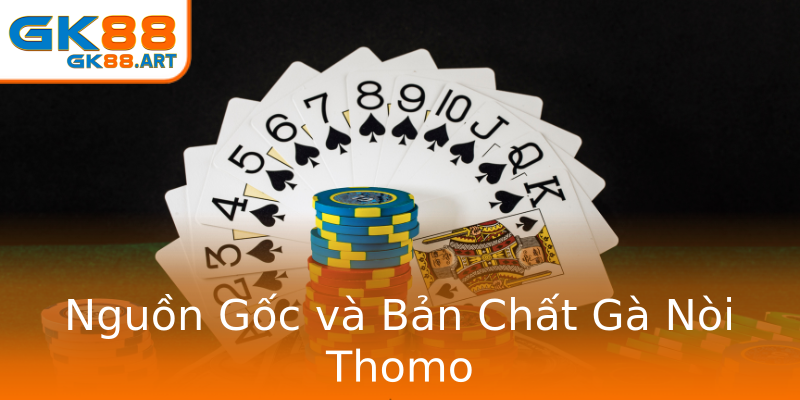 Nguồn Gốc và Bản Chất Gà Nòi Thomo Nguồn Gốc và Bản Chất Gà Nòi Thomo